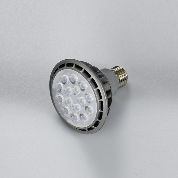 LED PAR30 15w 집중형